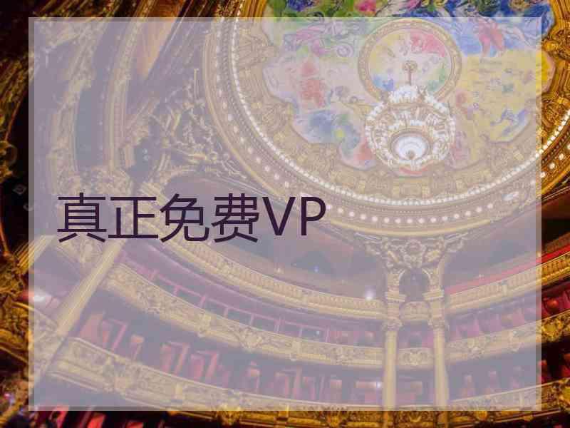 真正免费VP