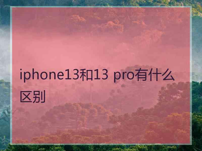 iphone13和13 pro有什么区别