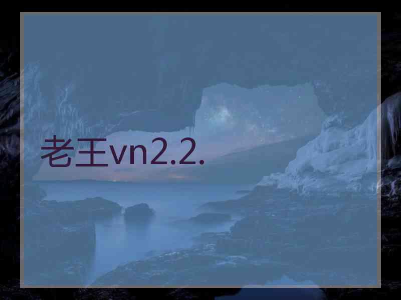 老王vn2.2.