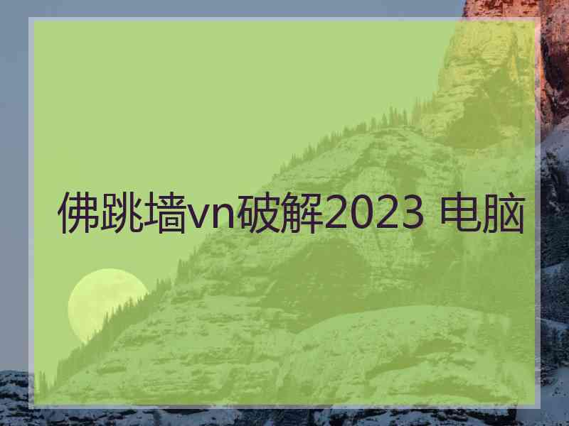 佛跳墙vn破解2023 电脑