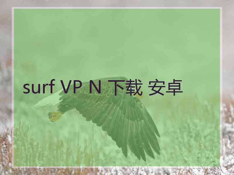 surf VP N 下载 安卓