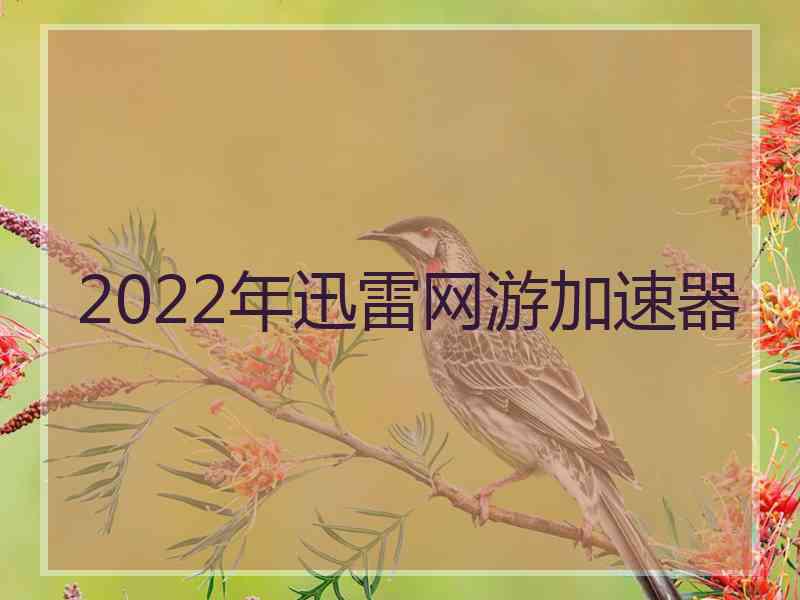 2022年迅雷网游加速器