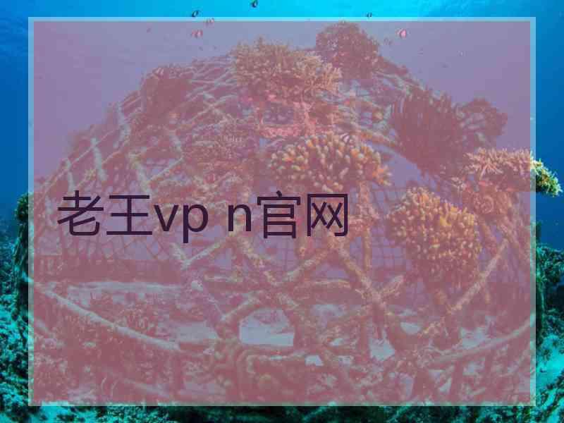 老王vp n官网