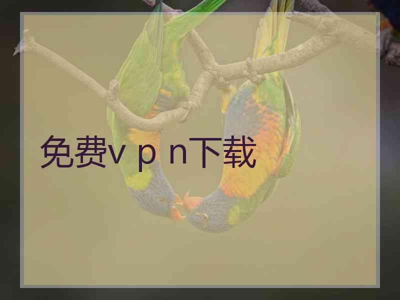 免费v p n下载