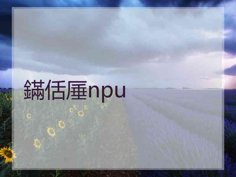 鏋佸厜npu