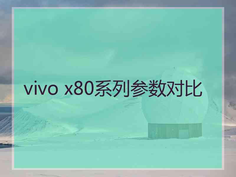 vivo x80系列参数对比