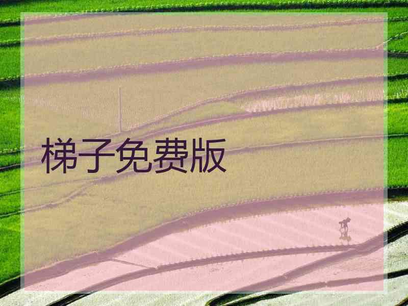 梯子免费版