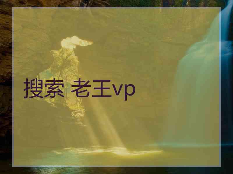 搜索 老王vp