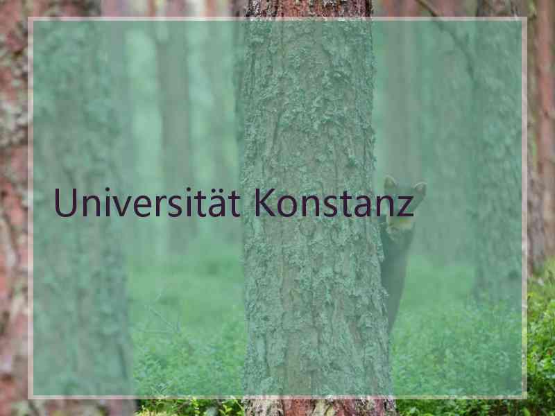 Universität Konstanz