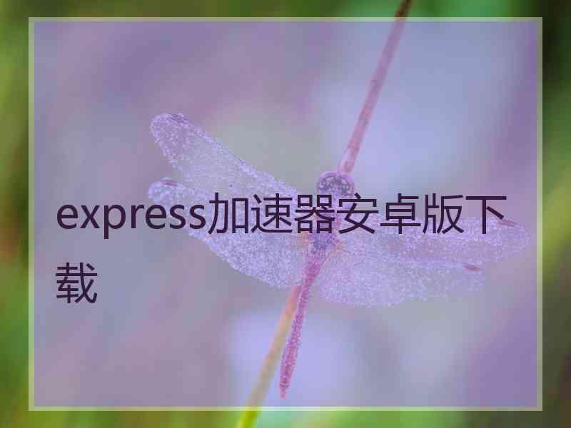 express加速器安卓版下载