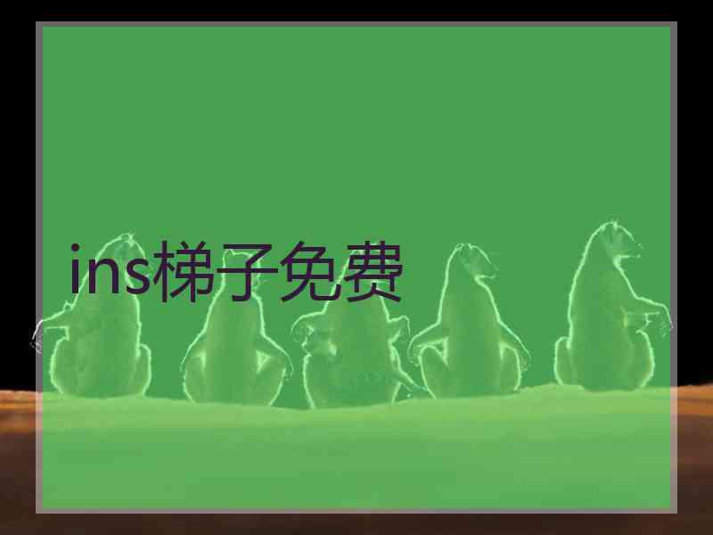 ins梯子免费