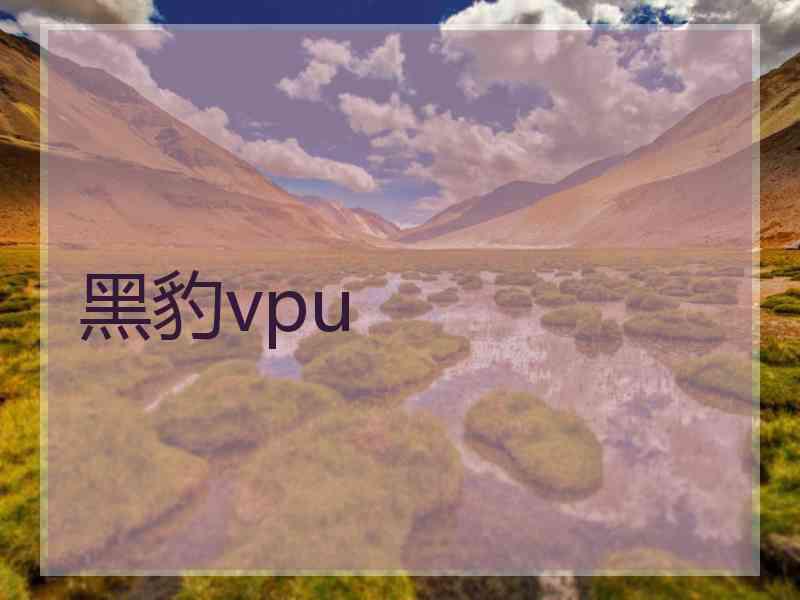 黑豹vpu