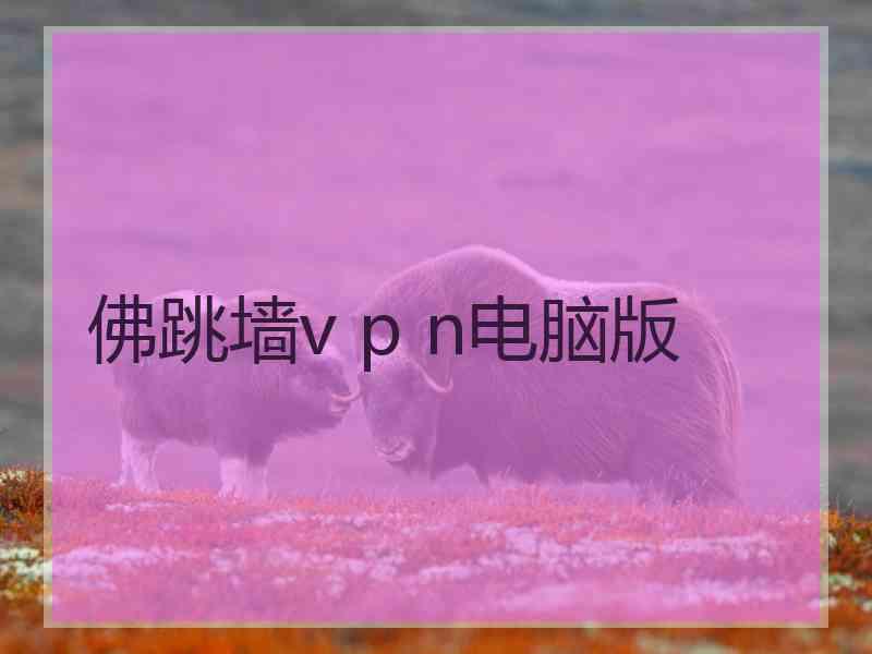 佛跳墙v p n电脑版