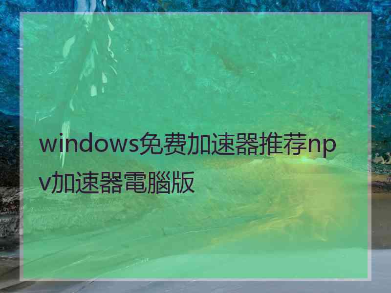 windows免费加速器推荐npv加速器電腦版