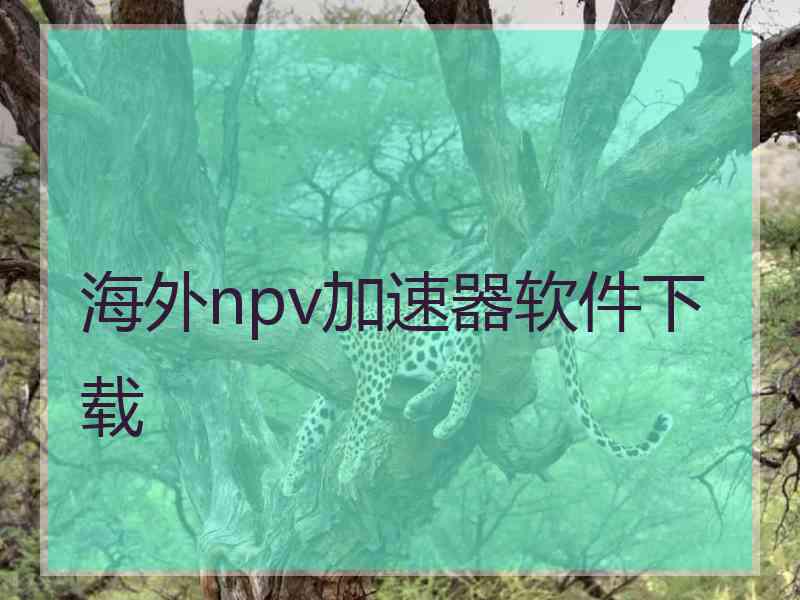 海外npv加速器软件下载