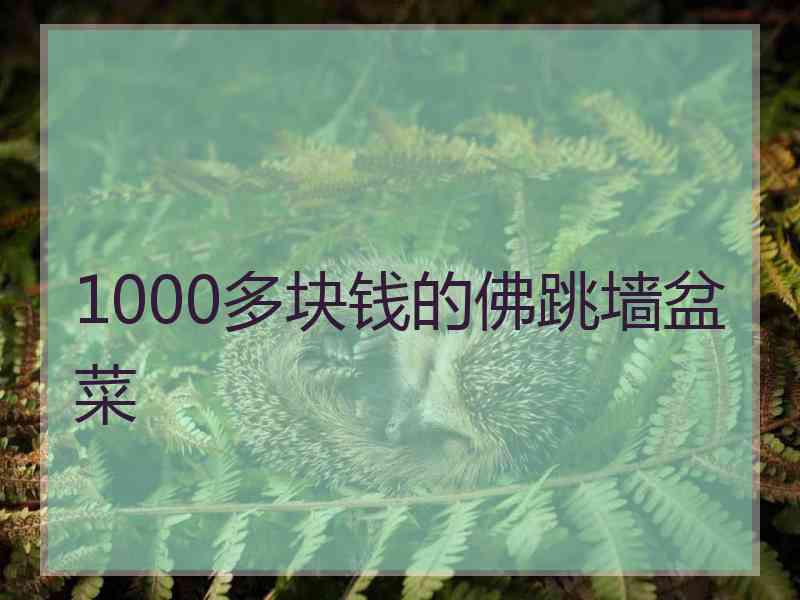 1000多块钱的佛跳墙盆菜