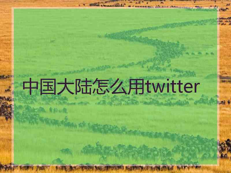 中国大陆怎么用twitter