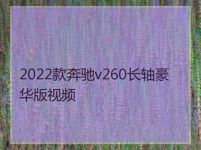 2022款奔驰v260长轴豪华版视频