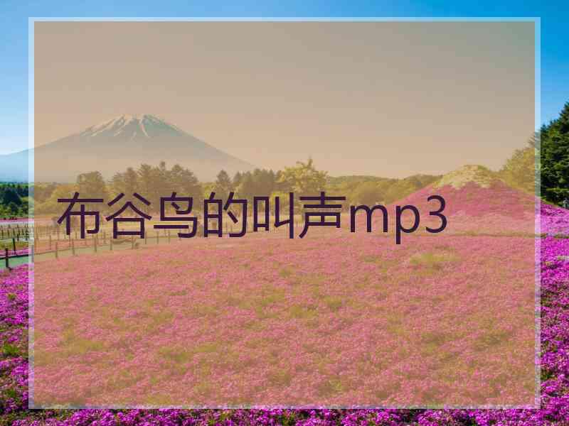 布谷鸟的叫声mp3