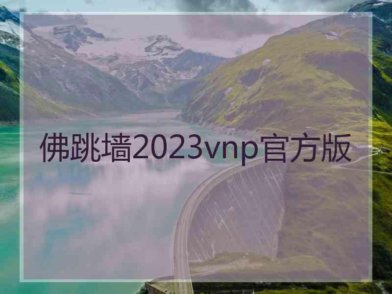 佛跳墙2023vnp官方版