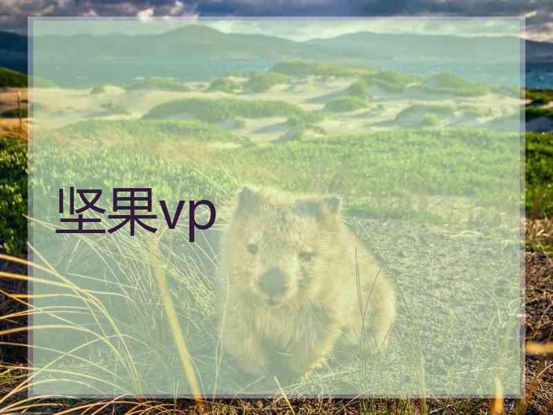 坚果vp