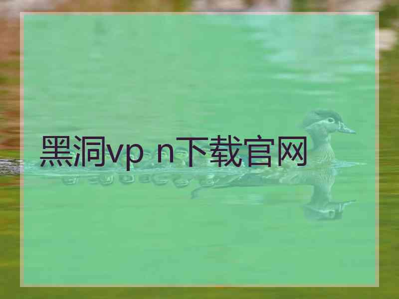 黑洞vp n下载官网