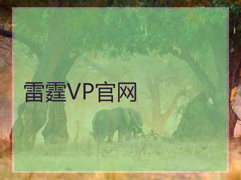 雷霆VP官网