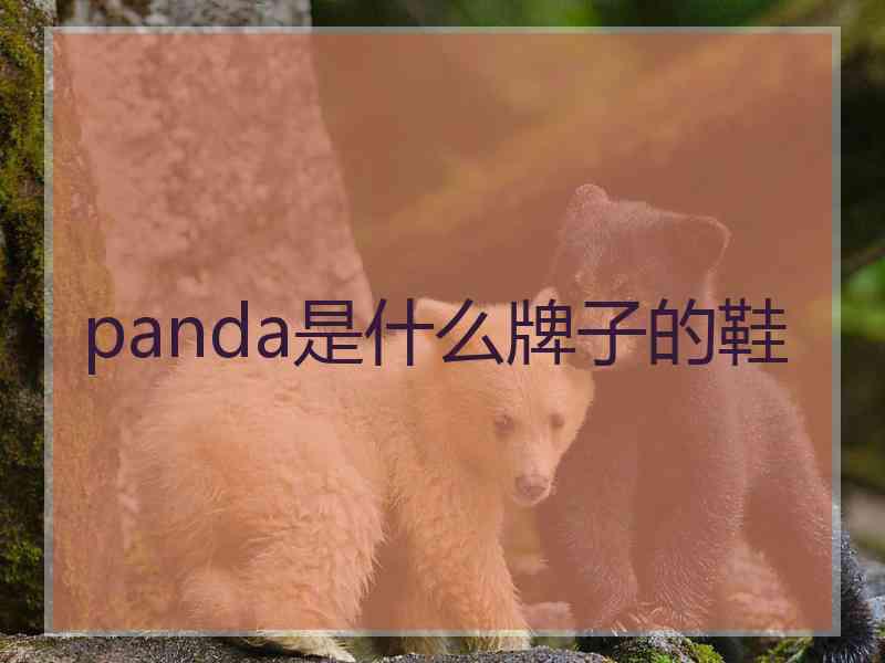 panda是什么牌子的鞋