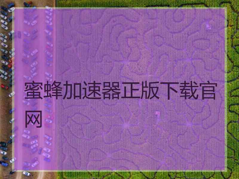 蜜蜂加速器正版下载官网