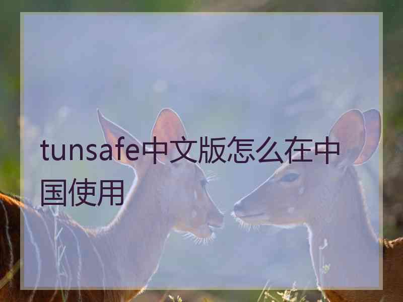 tunsafe中文版怎么在中国使用