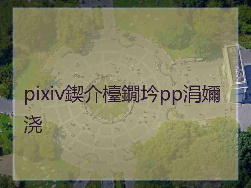 pixiv鍥介檯鐗坅pp涓嬭浇