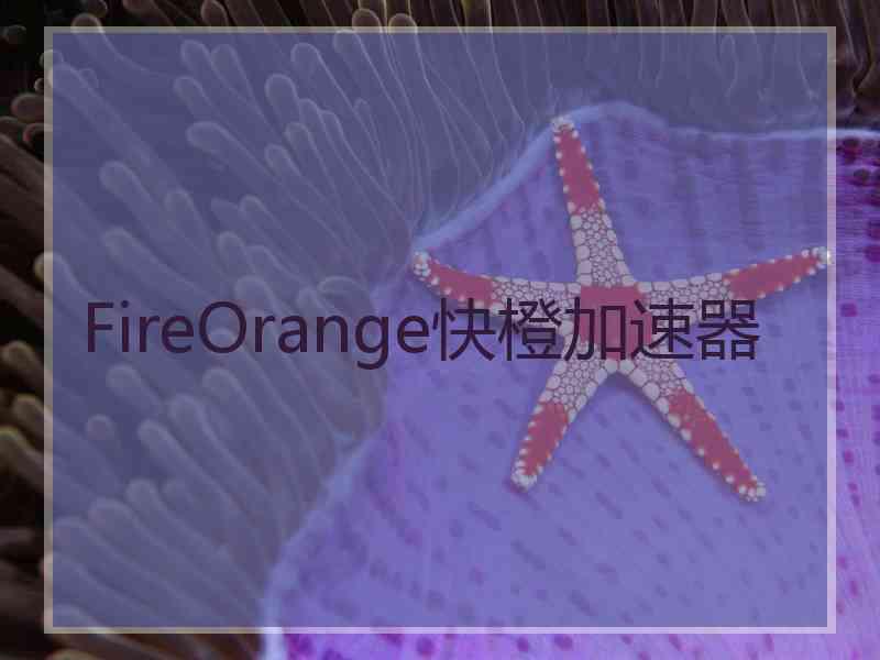 FireOrange快橙加速器