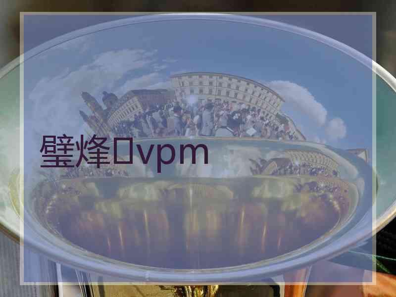 璧烽vpm