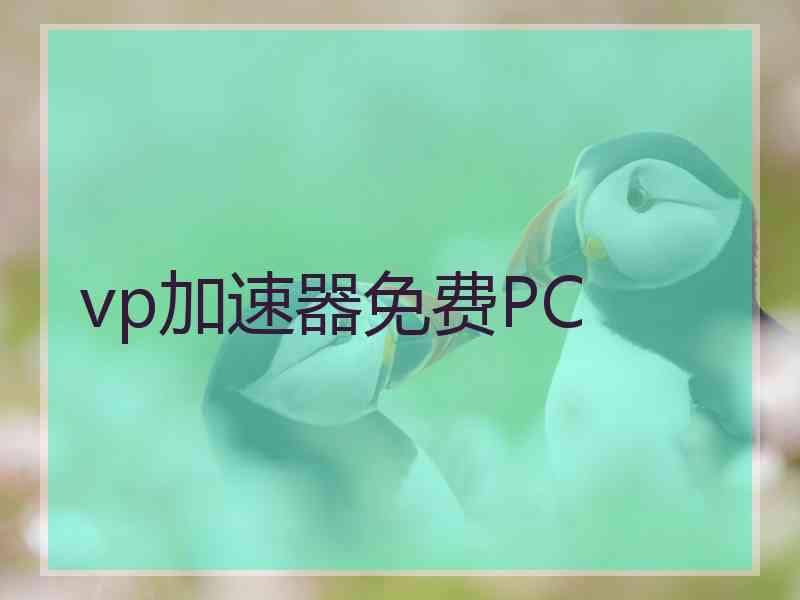 vp加速器免费PC