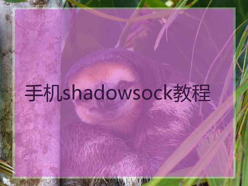 手机shadowsock教程