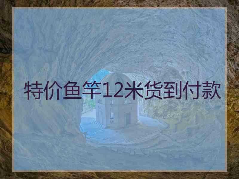 特价鱼竿12米货到付款