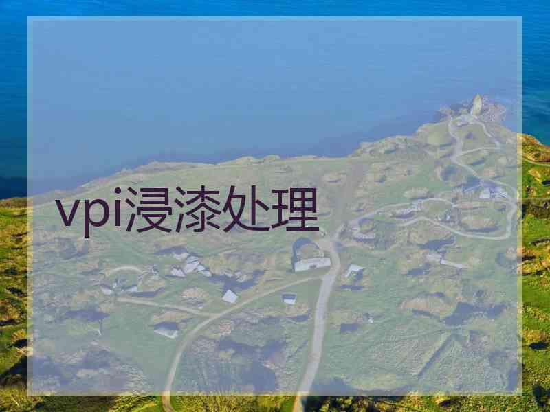 vpi浸漆处理