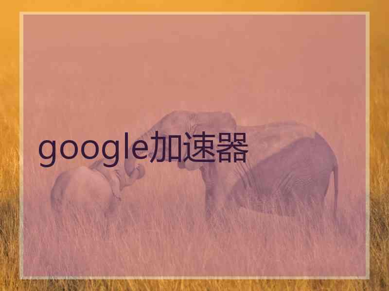 google加速器