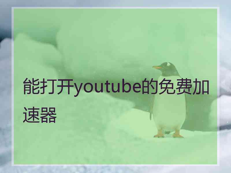 能打开youtube的免费加速器