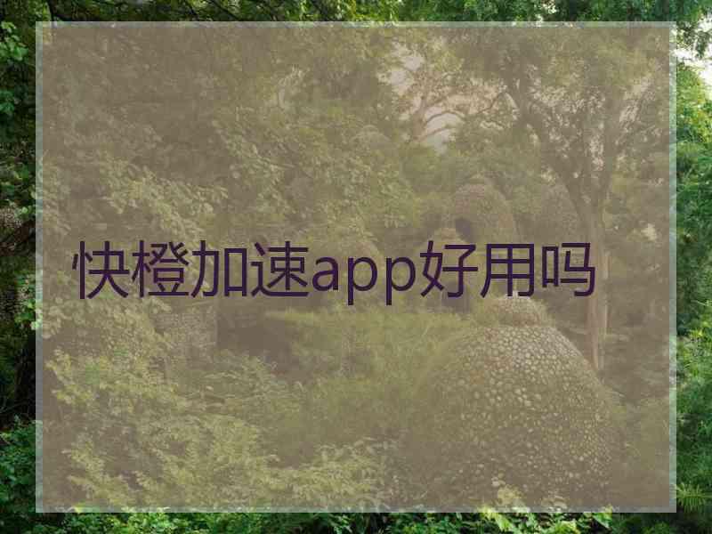 快橙加速app好用吗