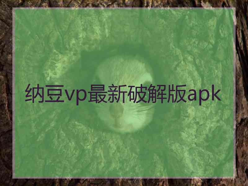 纳豆vp最新破解版apk