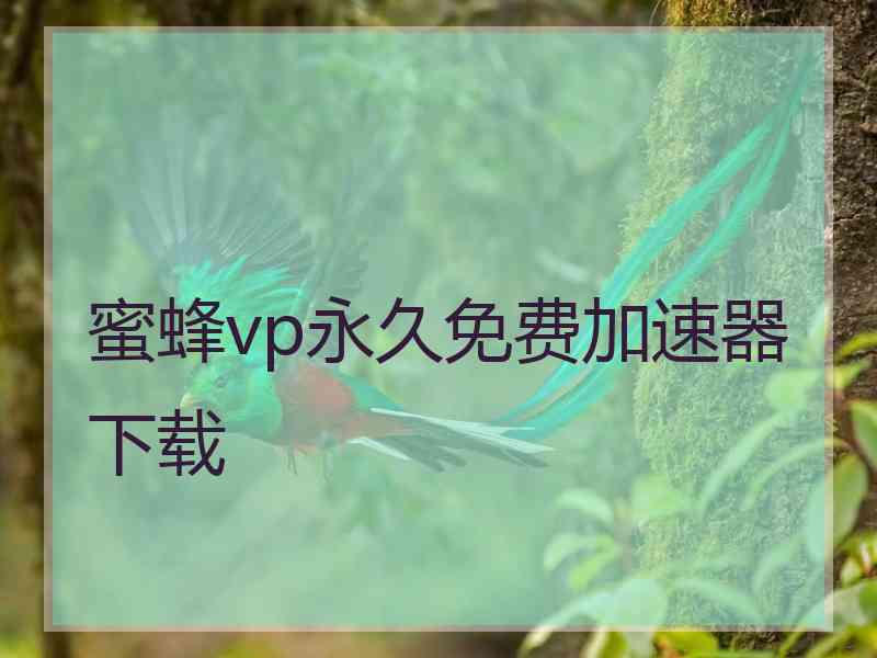 蜜蜂vp永久免费加速器下载