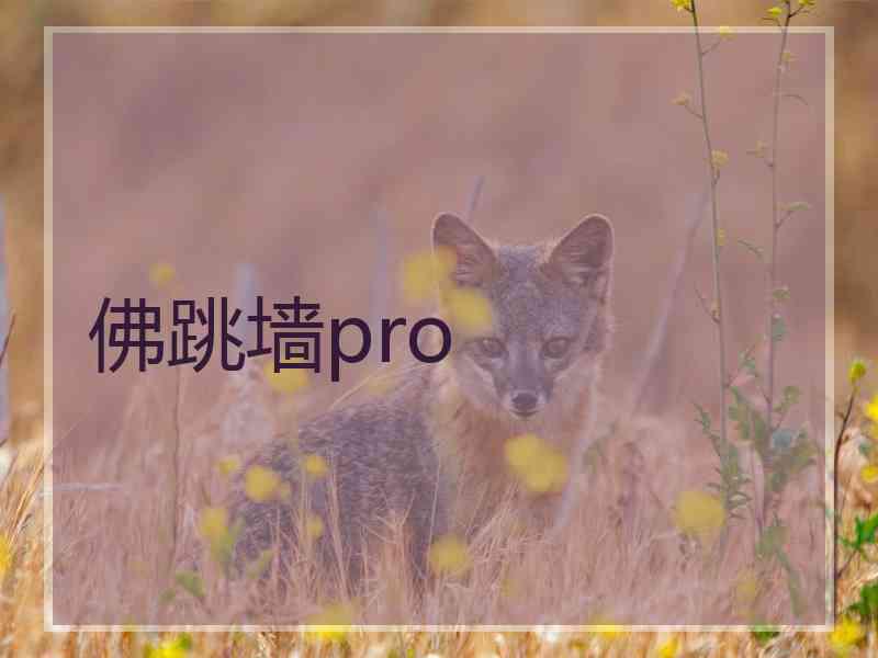 佛跳墙pro