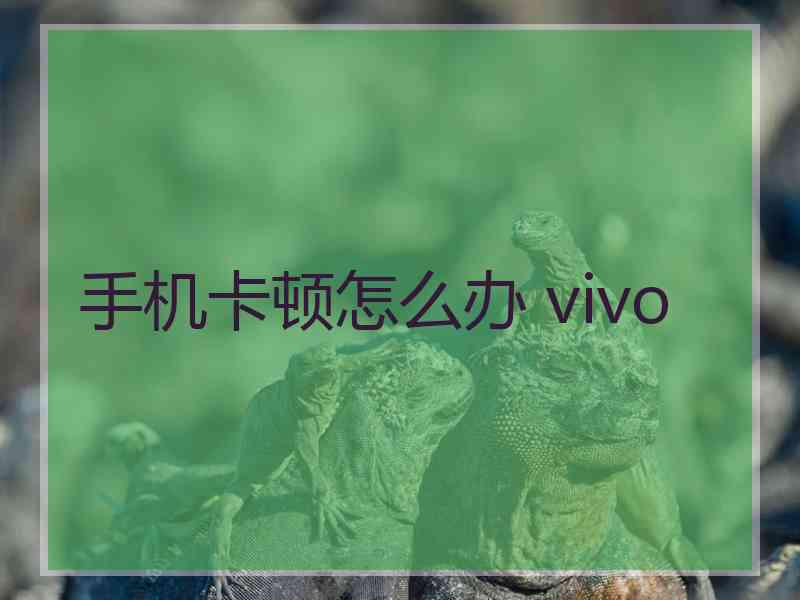 手机卡顿怎么办 vivo