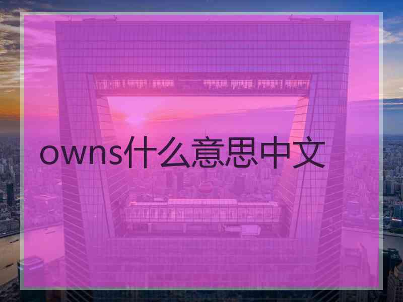 owns什么意思中文