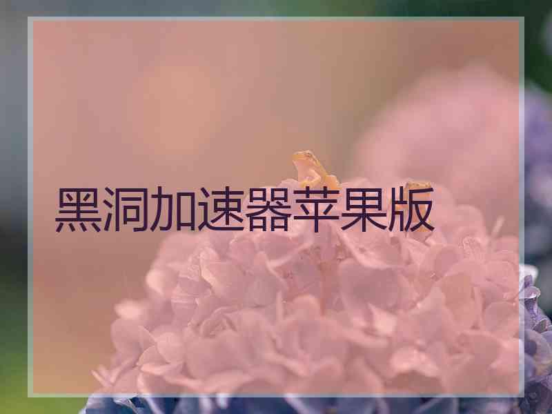 黑洞加速器苹果版