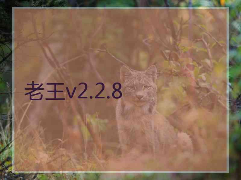 老王v2.2.8