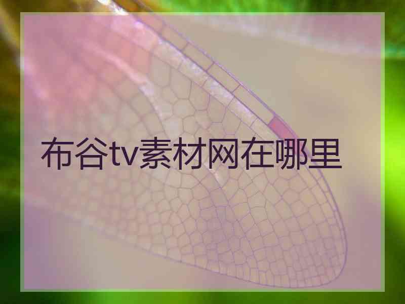 布谷tv素材网在哪里