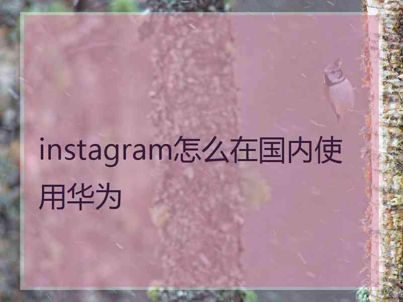 instagram怎么在国内使用华为