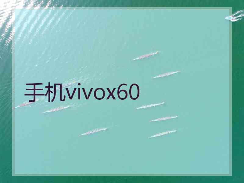 手机vivox60